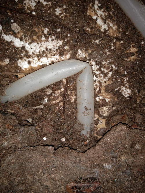 张家港堵点精准查找